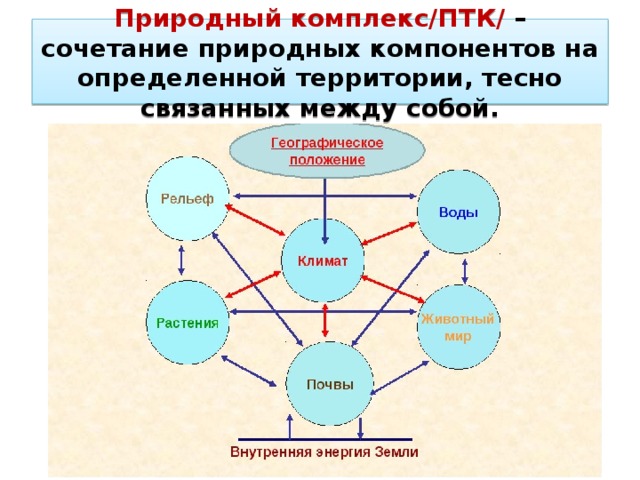 Взаимосвязь природных компонентов схема