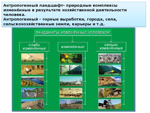 Антропогенный ландшафт- природные комплексы изменённые в результате хозяйственной деятельности человека.  Антропогенный – горные выработки, города, села, сельскохозяйственные земли, карьеры и т.д. 