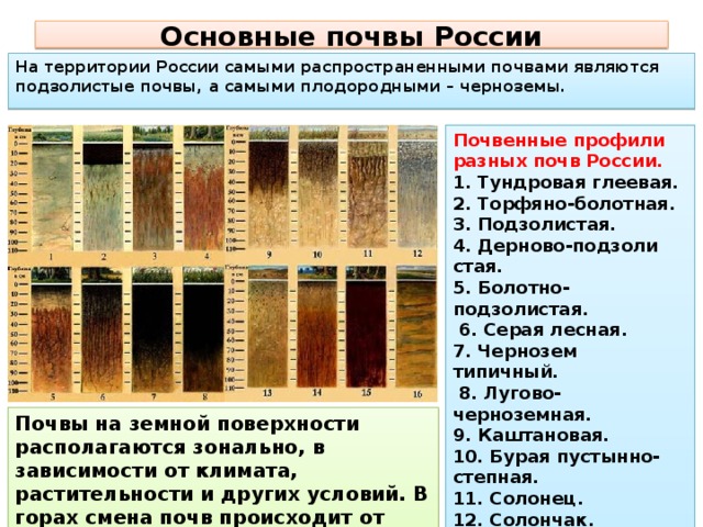 Урок 33. Главные типы почв и их размние по территории России .