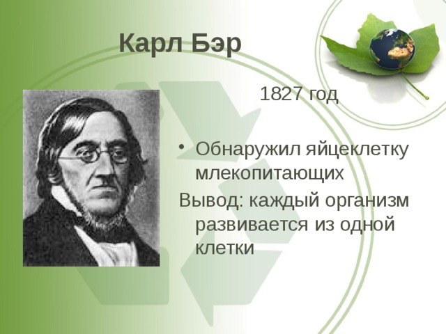 Карл Бэр 1827 год Обнаружил яйцеклетку млекопитающих Вывод: каждый организм развивается из одной клетки 