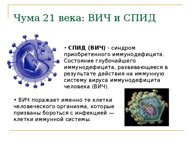 Чума 21 века: ВИЧ и СПИД   СПИД (ВИЧ) - синдром приобретенного иммунодефицита. Состояние глубочайшего иммунодефицита, развивающееся в результате действия на иммунную систему вируса иммунодефицита человека (ВИЧ).  ВИЧ поражает именно те клетки человеческого организма, которые призваны бороться с инфекцией — клетки иммунной системы. 