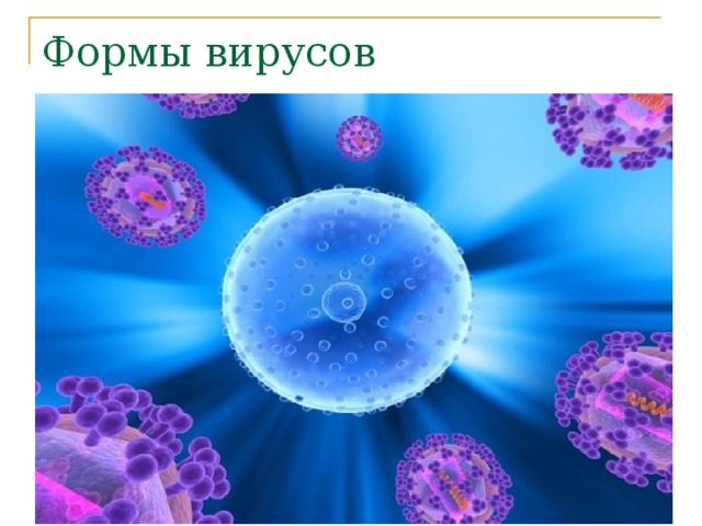 Формы вирусов  1. Вирус в клетке хозяина - живой организм, находится во внутриклеточной форме, образует комплекс «вирус – клетка хозяина».   2. Вирус вне клетки хозяина , в покоящейся внеклеточной форме - вирусная частица или вирион, не проявляет признаков живого организма. 