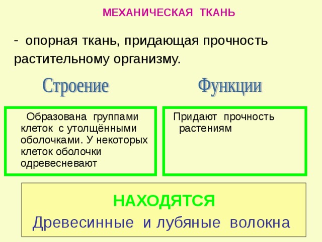 Придает прочность. Механические ткани растений строение и функции. Механическая ткань растений функции. Механическая ткань строение и функции. Функция механической ткани у растений 6 класс.