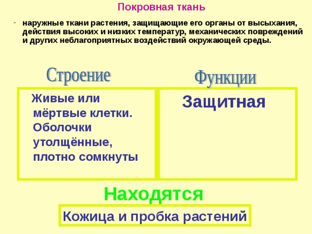 Покровная ткань наружные ткани растения, защищающие его органы от высыхания, действия высоких и низких температур, механических повреждений и других неблагоприятных воздействий окружающей среды.  Защитная  Живые или мёртвые клетки. Оболочки утолщённые, плотно сомкнуты Находятся Кожица и пробка растений 