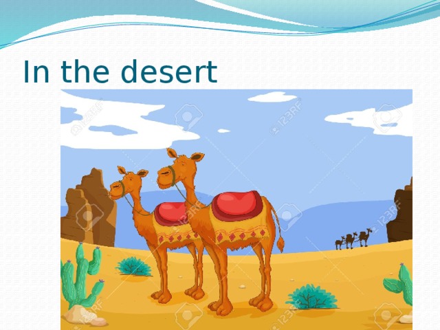 In the desert 
