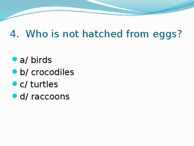 4. Who is not hatched from eggs? a/ birds b/ crocodiles c/ turtles d/ raccoons 