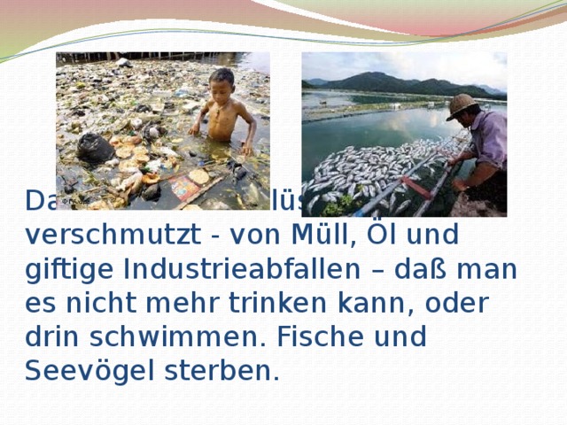Das Wasser der Flüsse ist so stark verschmutzt - von Müll, Öl und giftige Industrieabfallen – daß man es nicht mehr trinken kann, oder drin schwimmen. Fische und Seevögel sterben. 