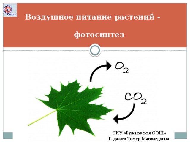 Воздушное питание растений -  фотосинтез ГКУ «Буденовская ООШ» Гаджиев Тимур Магомедович.  