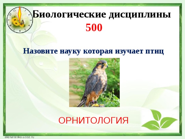  Биологические дисциплины  500   Назовите науку которая изучает птиц ОРНИТОЛОГИЯ 