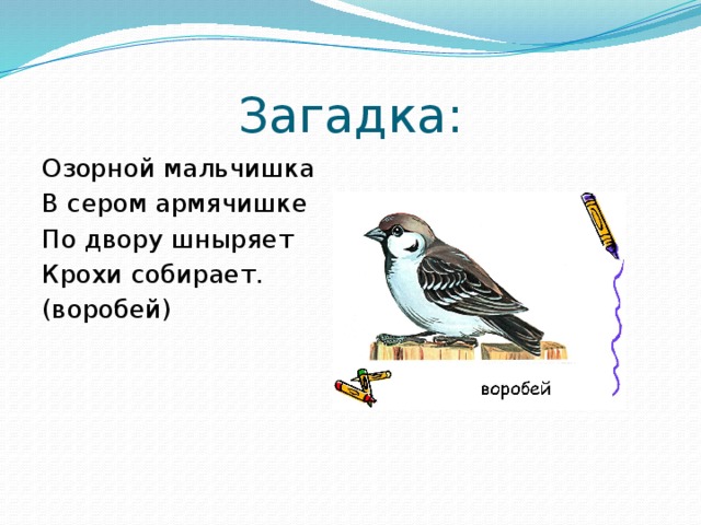 Проект рассказ о слове русский язык 3 класс воробей
