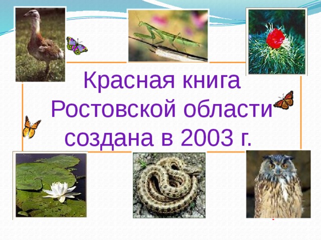 Красная книга Ростовской области создана в 2003 г. 