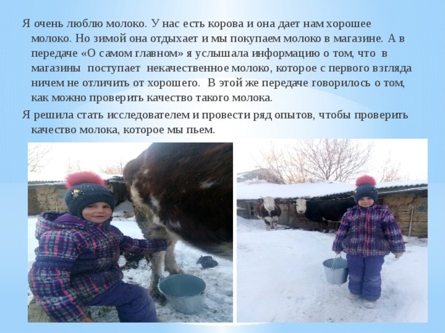 Я очень люблю молоко. У нас есть корова и она дает нам хорошее молоко. Но зимой она отдыхает и мы покупаем молоко в магазине. А в передаче «О самом главном» я услышала информацию о том, что в магазины поступает некачественное молоко, которое с первого взгляда ничем не отличить от хорошего. В этой же передаче говорилось о том, как можно проверить качество такого молока. Я решила стать исследователем и провести ряд опытов, чтобы проверить качество молока, которое мы пьем.  