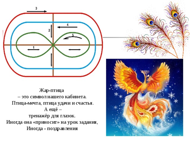 Жар птица тц схема