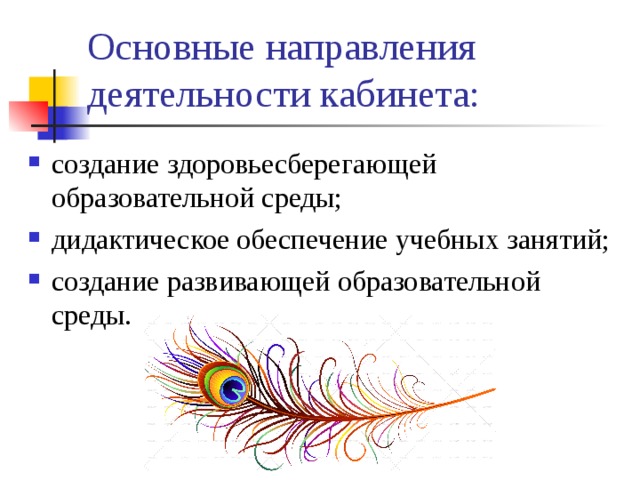 Основные направления деятельности кабинета: создание здоровьесберегающей образовательной среды; дидактическое обеспечение учебных занятий; создание развивающей образовательной среды. 