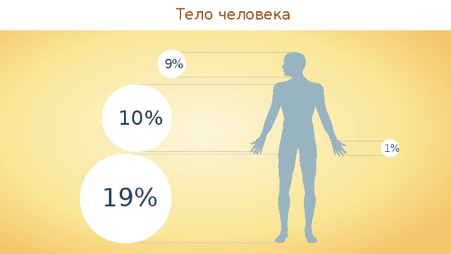 Тело человека 9% 10% 1% 19% 