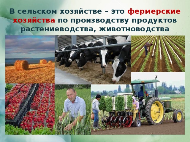 В сельском хозяйстве – это фермерские хозяйства по производству продуктов растениеводства, животноводства