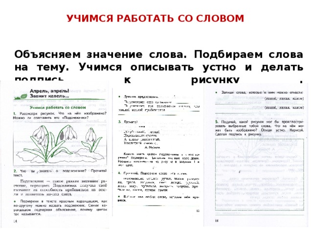  УЧИМСЯ РАБОТАТЬ СО СЛОВОМ   Объясняем значение слова. Подбираем слова на тему. Учимся описывать устно и делать подпись к рисунку .   