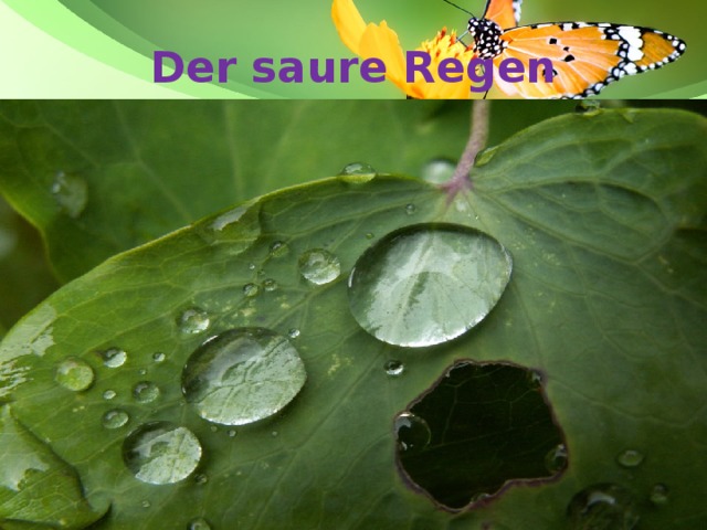 Der saure Regen 