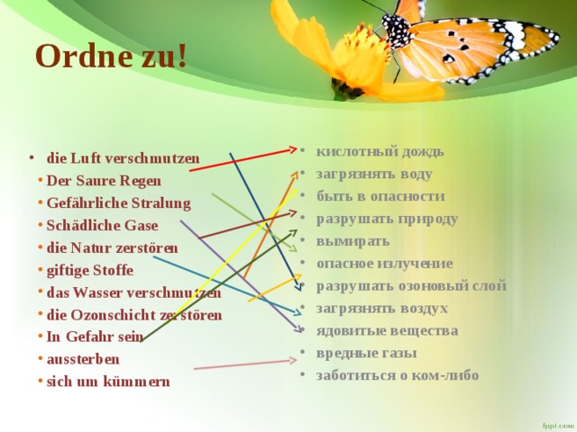 Ordne zu! кислотный дождь загрязнять воду быть в опасности разрушать природу вымирать опасное излучение разрушать озоновый слой загрязнять воздух ядовитые вещества вредные газы заботиться о ком-либо die Luft verschmutzen Der Saure Regen Gefährliche Stralung Schädliche Gase die Natur zerstören giftige Stoffe das Wasser verschmutzen die Ozonschicht zerstören In Gefahr sein aussterben sich um kümmern 