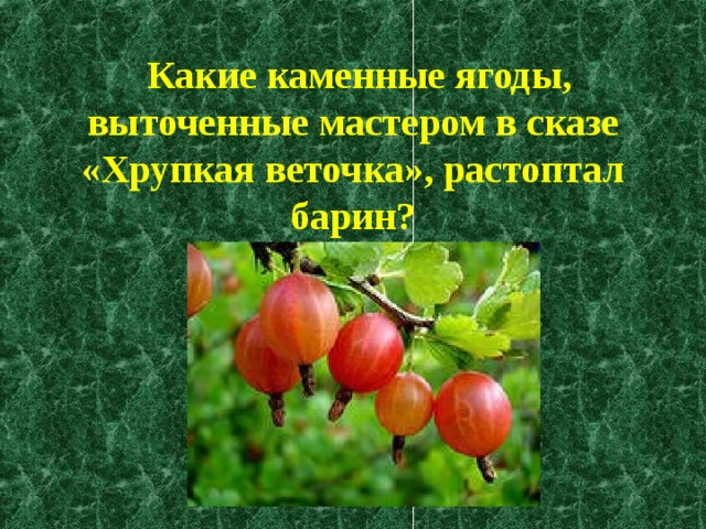  Какие каменные ягоды, выточенные мастером в сказе «Хрупкая веточка», растоптал барин?    