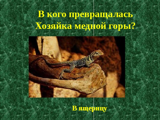 В кого превращалась Хозяйка медной горы? В ящерицу 