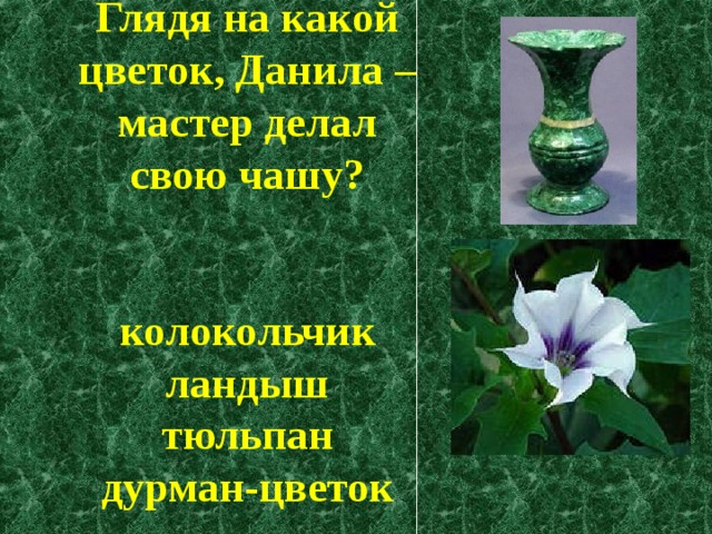 Глядя на какой цветок, Данила – мастер делал свою чашу?    колокольчик  ландыш  тюльпан  дурман-цветок   