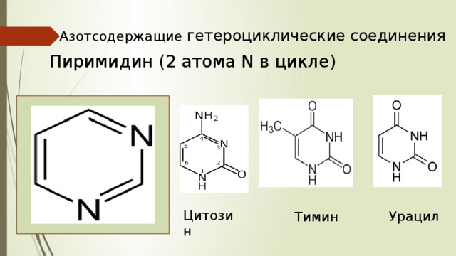 Азотсодержащие гетероциклические соединения Пиримидин (2 атома N в цикле) Цитозин Урацил Тимин 