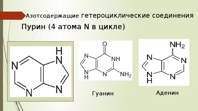 Азотсодержащие гетероциклические соединения Пурин (4 атома N в цикле) Аденин Гуанин 