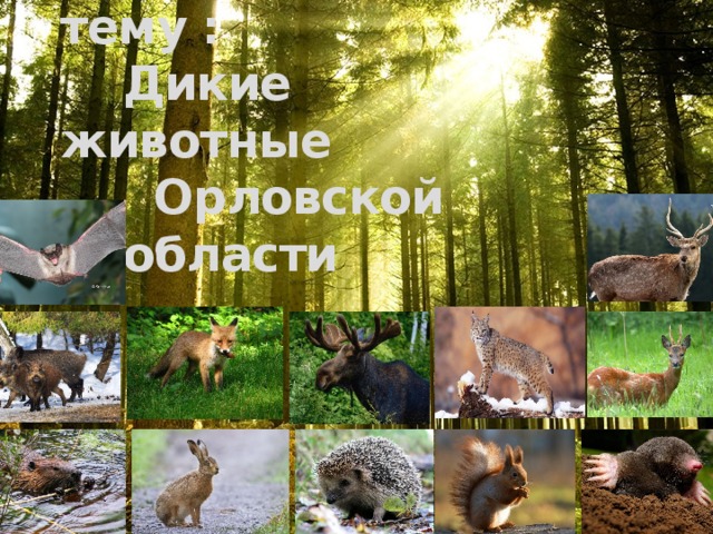  Виртуальная экскурсия на тему :  Дикие животные  Орловской  области 