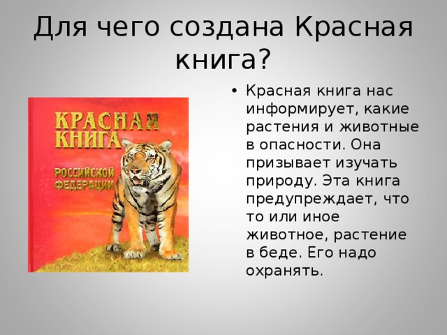 Проект красная книга класс. Международная красная книга 4 класс школа России. Проект по окружающему миру 4 класс Международная красная книга. Проект Международная красная книга 4 класс. Проект Международная красная книга 4 класс окружающий.