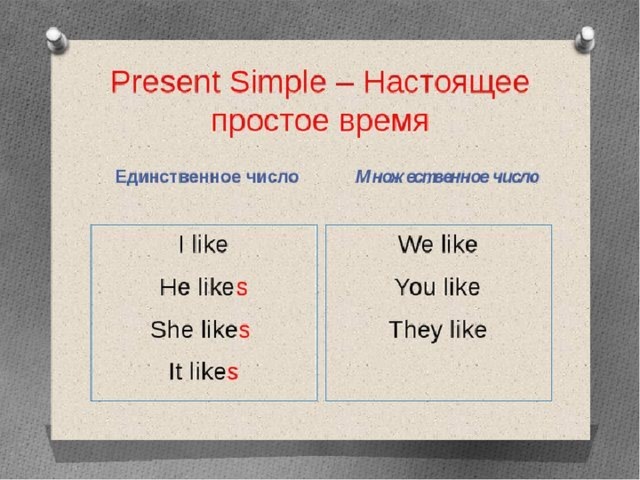 Present simple для детей объяснение в картинках