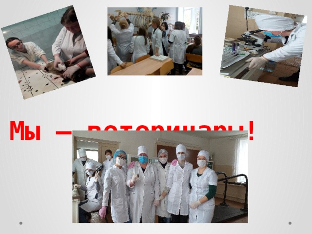    Мы – ветеринары!    