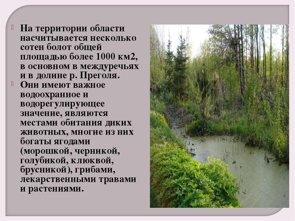 Куршская коса - презентация онлайн
