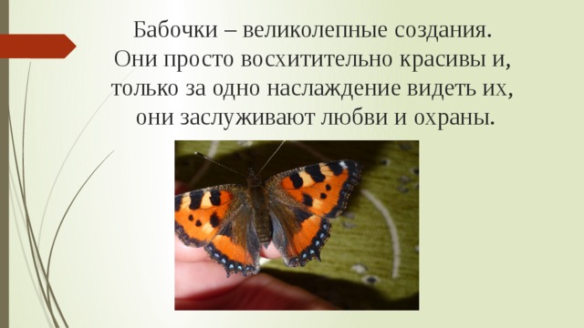 Сделайте описание бабочки крапивницы по следующему плану какую среду обитания освоили крапивница