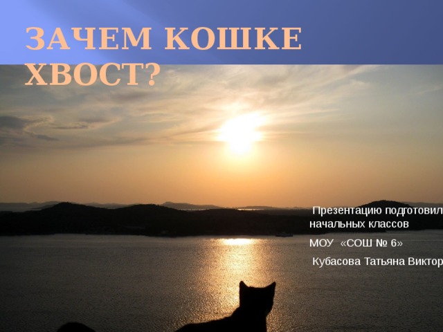 Зачем кошке хвост?  Презентацию подготовила учитель начальных классов МОУ «СОШ № 6»  Кубасова Татьяна Викторовна 