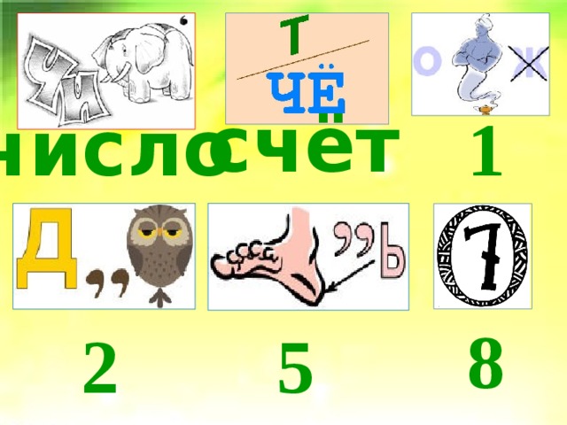 счёт число 1 8 2 5 