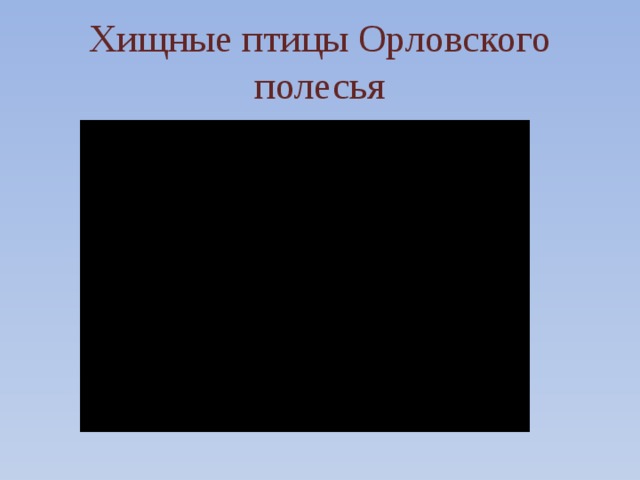 Хищные птицы Орловского полесья 