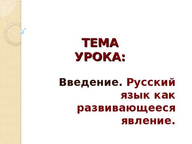 Проект на тему русский язык как развивающееся явление 7 класс