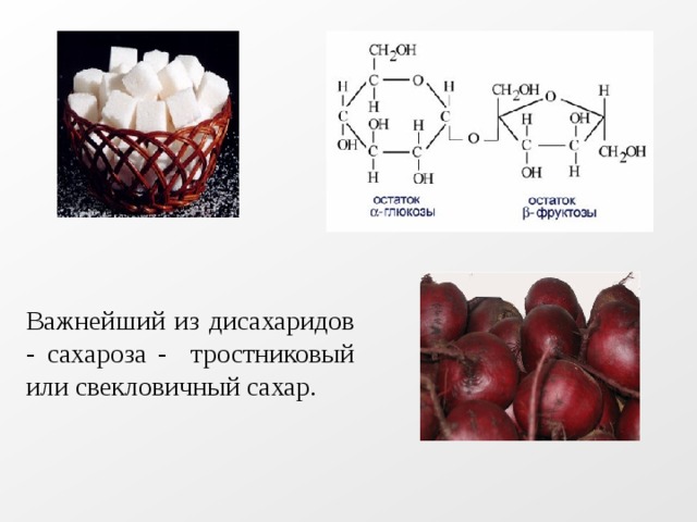 Важнейший из дисахаридов - сахароза - тростниковый или свекловичный сахар. 