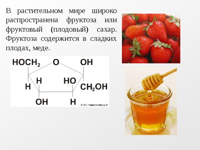 В растительном мире широко распространена фруктоза или фруктовый (плодовый) сахар. Фруктоза содержится в сладких плодах, меде. 