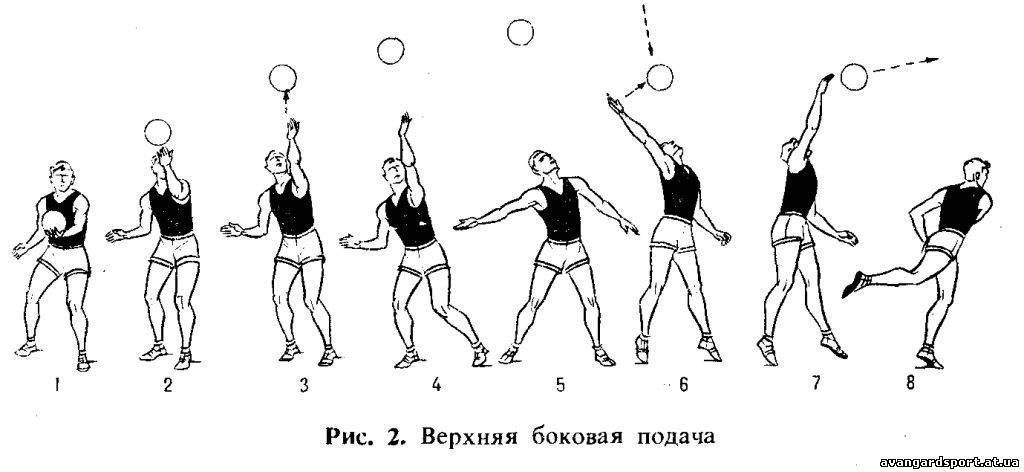 Нижняя подача в волейболе картинки