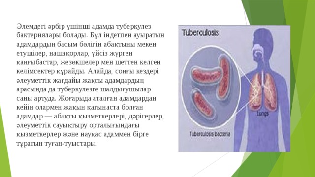 Әлемдегі әрбір үшінші адамда туберкулез бактериялары болады. Бұл індетпен ауыратын адамдардың басым бөлігін абақтыны мекен етушілер, нашақорлар, үйсіз жүрген қаңғыбастар, жезөкшелер мен шеттен келген келімсектер құрайды. Алайда, соңғы кездері әлеуметтік жағдайы жақсы адамдардың арасында да туберкулезге шалдығушылар саны артуда. Жоғарыда аталған адамдардан кейін олармен жақын қатынаста болған адамдар — абақты қызметкерлері, дәрігерлер, әлеуметтік сауықтыру орталығындағы қызметкерлер және науқас адаммен бірге тұратын туған-туыстары. 