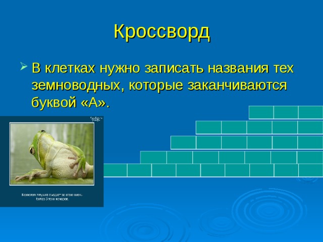 Лягушка кроссворд. Кроссворд лягушка. Жаба кроссворд. Кроссворд о жабе и Розе. Кроссворд земноводные биология 7 класс.