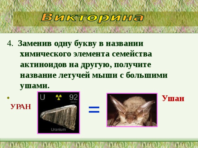 4. Заменив одну букву в названии химического элемента семейства актиноидов на другую, получите название летучей мыши с большими ушами.  Ушан = УРАН  