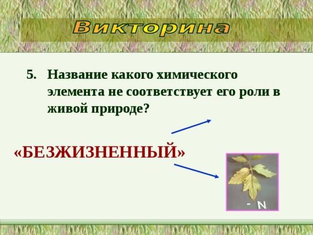5. Название какого химического элемента не соответствует его роли в живой природе?  «БЕЗЖИЗНЕННЫЙ» 