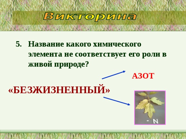 5. Название какого химического элемента не соответствует его роли в живой природе?  АЗОТ «БЕЗЖИЗНЕННЫЙ» 