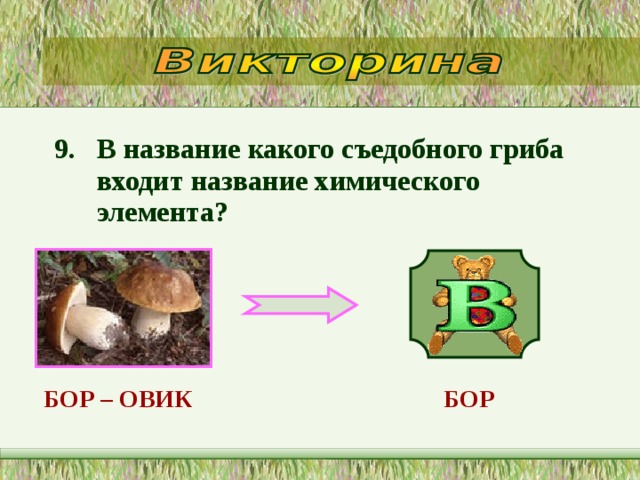 9. В название какого съедобного гриба входит название химического элемента?   БОР – ОВИК  БОР  