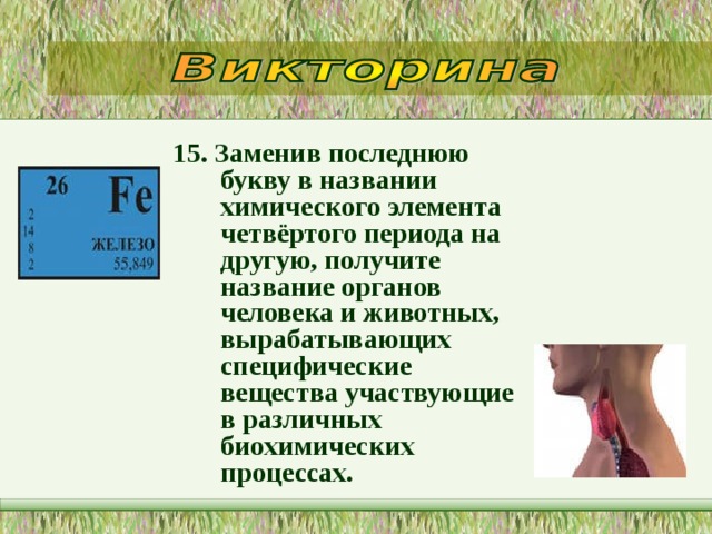 15. Заменив последнюю букву в названии химического элемента четвёртого периода на другую, получите название органов человека и животных, вырабатывающих специфические вещества участвующие в различных биохимических процессах.   