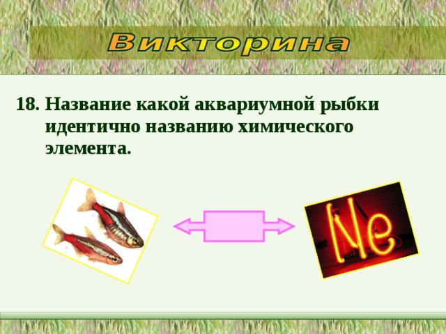 18. Название какой аквариумной рыбки идентично названию химического элемента.  