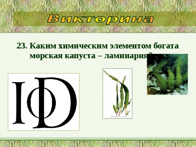 23.  Каким химическим элементом богата морская капуста – ламинария?  